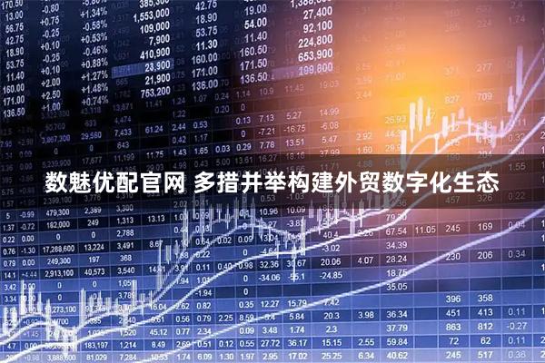 数魅优配官网 多措并举构建外贸数字化生态