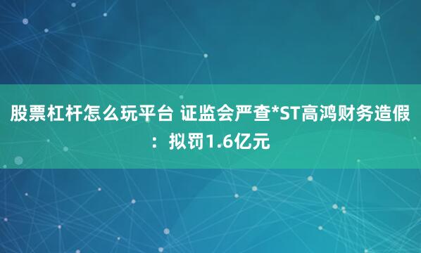股票杠杆怎么玩平台 证监会严查*ST高鸿财务造假：拟罚1.6亿元