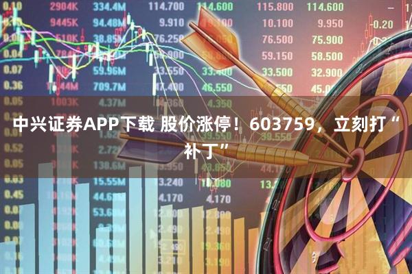 中兴证券APP下载 股价涨停！603759，立刻打“补丁”
